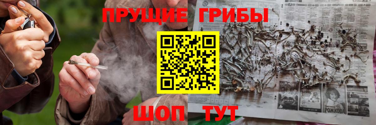 Ногинск  Галлюциногенные грибы MAGIC MUSHROOMS  магазин продажи наркотиков  Галлюциногенные грибы Cubensis  Вход с VPN 