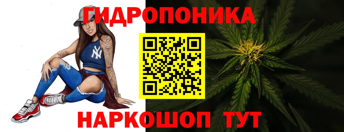 Шишки марихуана план  Вход с VPN  МАРИХУАНА марихуана  Марихуана OG Kush  Конопля семена  Ногинск 